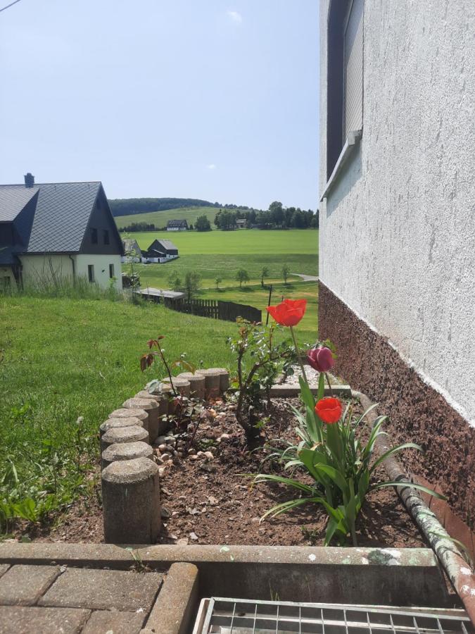 Ferienwohnung Wiesenblick In Seiffen Eksteriør billede